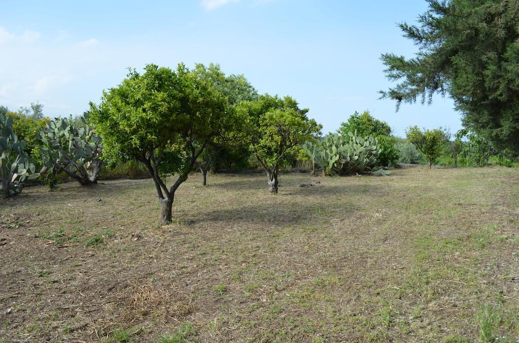 Villa Bonaccorso - Antica E Maestosa Villa Con Piscina Ai Piedi Dell'Etna Viagrande Exteriör bild