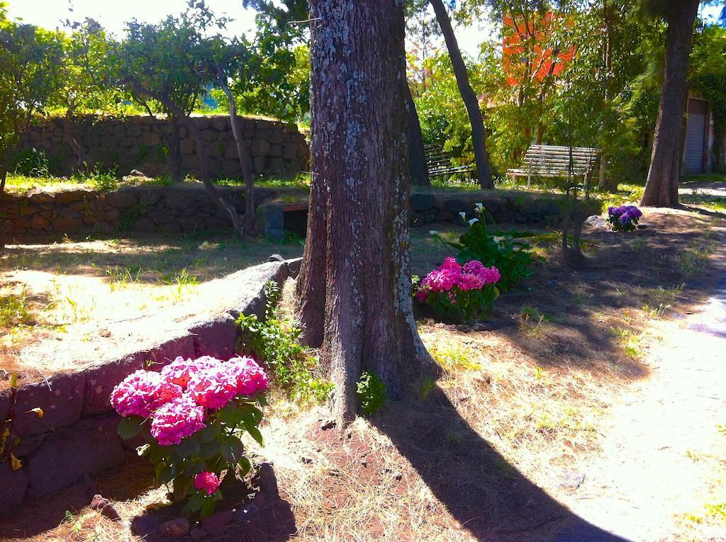 Villa Bonaccorso - Antica E Maestosa Villa Con Piscina Ai Piedi Dell'Etna Viagrande Exteriör bild