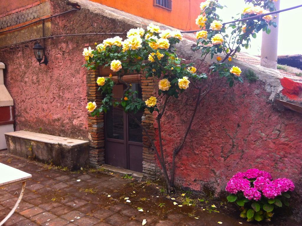 Villa Bonaccorso - Antica E Maestosa Villa Con Piscina Ai Piedi Dell'Etna Viagrande Exteriör bild
