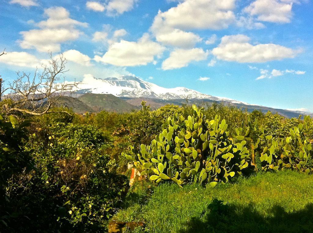 Villa Bonaccorso - Antica E Maestosa Villa Con Piscina Ai Piedi Dell'Etna Viagrande Exteriör bild