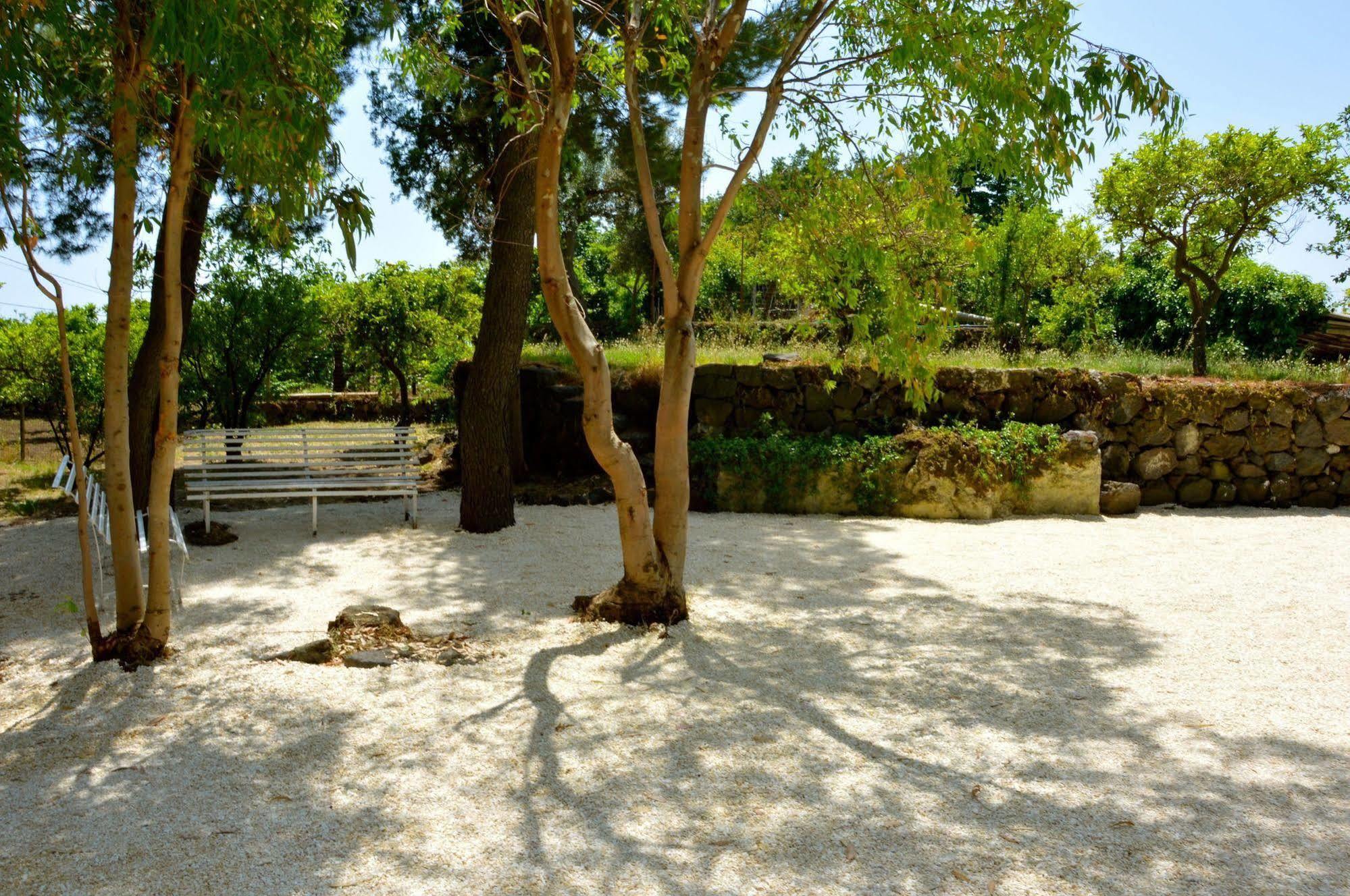 Villa Bonaccorso - Antica E Maestosa Villa Con Piscina Ai Piedi Dell'Etna Viagrande Exteriör bild
